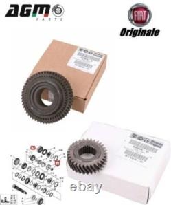 5-Speed Gear Kit 53x31 Original Fiat Ducato 230 2.8 JTD