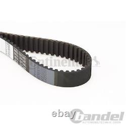 CONTINENTAL Timing Belt Kit Suitable for Fiat Ducato 1.9 Td