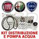 Kit Distribution + Belt Water Pump Original Alfa 159, Fiat 500, Bravo Ii