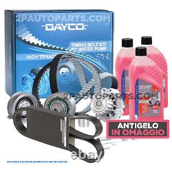 Timing Belt Water Pump Kit And Belts Fiat Ducato (244) 2.3 JTD