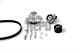 Timing Belt Kit + Water Pump Pk10894 Hepu For Fiat Alfa Romeo Saab Lancia
