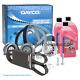 Water Pump Distribution Kit With Belt Alfa Romeo Giulietta Delta 2.0 Mjt