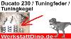 Ducato 230 Tuningfeder Tuningkegel