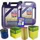 Sketch D'inspection Filtre Liqui Moly Huile 10l 5w-40 Pour De Fiat Ducato